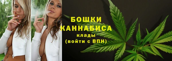ECSTASY Каменка