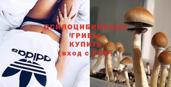 apvp Каменск-Шахтинский