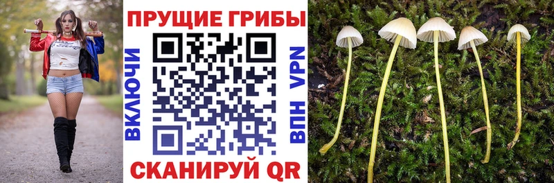 Галлюциногенные грибы ЛСД  Купить  Завитинск 